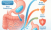 Gel-Based Supplements: Unlocking Their Essential Advantages