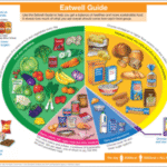 Supplements: An Essential Guide to a Balanced Diet