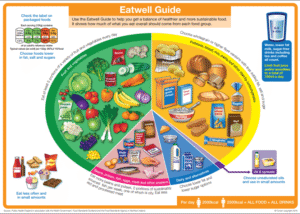 Supplements: An Essential Guide to a Balanced Diet
