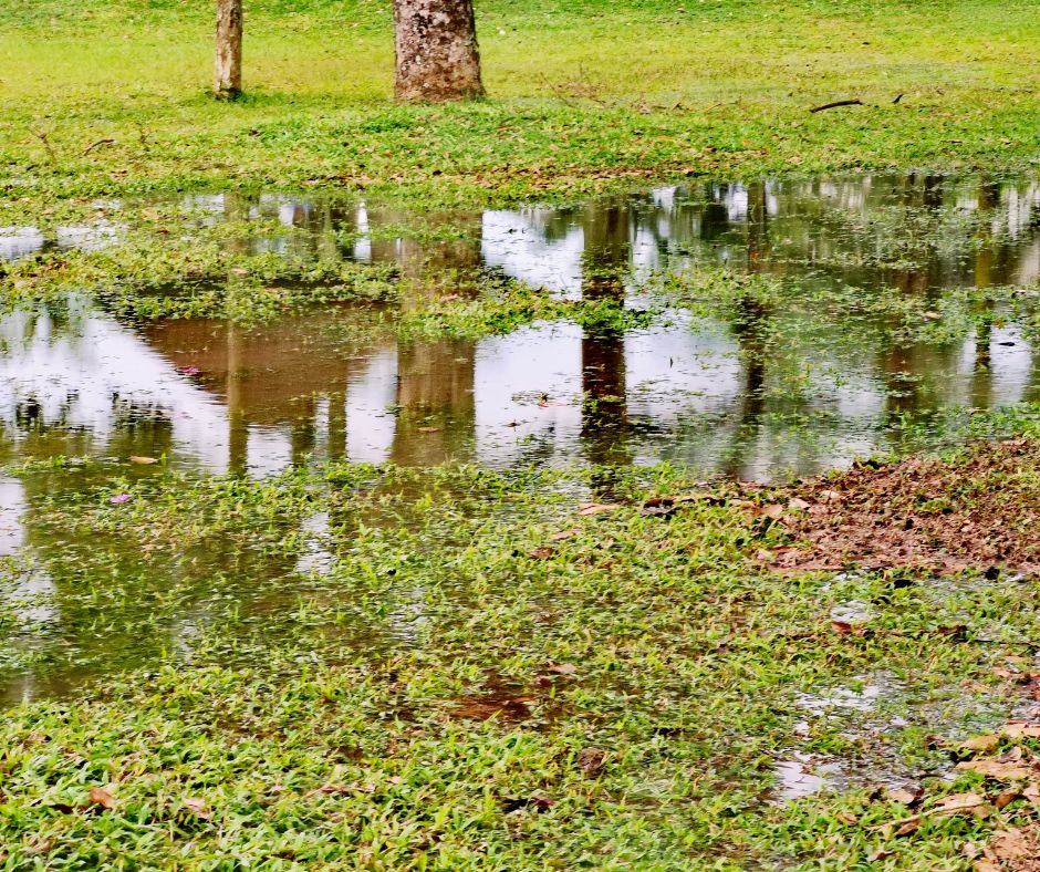 Stormwater Drain Solutions: Causes in Wollongong Explained
