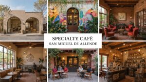 Hortus Café