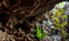 Belizean Caves: Exploring Archaeology, Biodiversity, and Climate