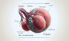 Essential Tips for Detection in Testicular Cancer Self-Exams