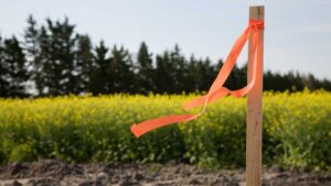 Subdivision Surveys for Land Division in Clyde North