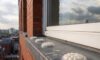 Bird Proofing Solutions: Effective Gel Repellent Choices Without Spikes