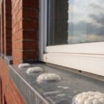 Bird Proofing Solutions: Effective Gel Repellent Choices Without Spikes