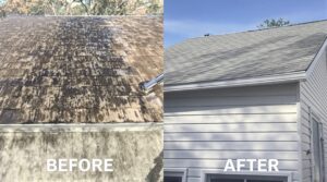 Explore the Essential Benefits of Soft Washing for Your Home’s Maintenance