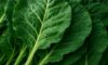Collard Greens Recipe: A Wholesome Slow Cooker Delight