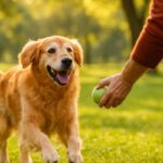 Thyroid Imbalance in Older Pets: Causes and Care Solutions