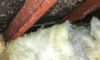 Asbestos Concerns: Essential Tips for Selecting a Skip Service