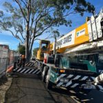 Crane-Assisted Tree Removal: Edgeworth Case Study Insights