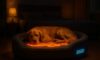 Temperature-Controlled Beds for Pets: Ensuring Optimal Comfort