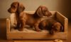 Puppy Comfort: Create a Cosy Crate Setup with Ease