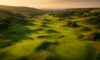 Newcastle Golf Club: Discover Premier Local Courses and Amenities