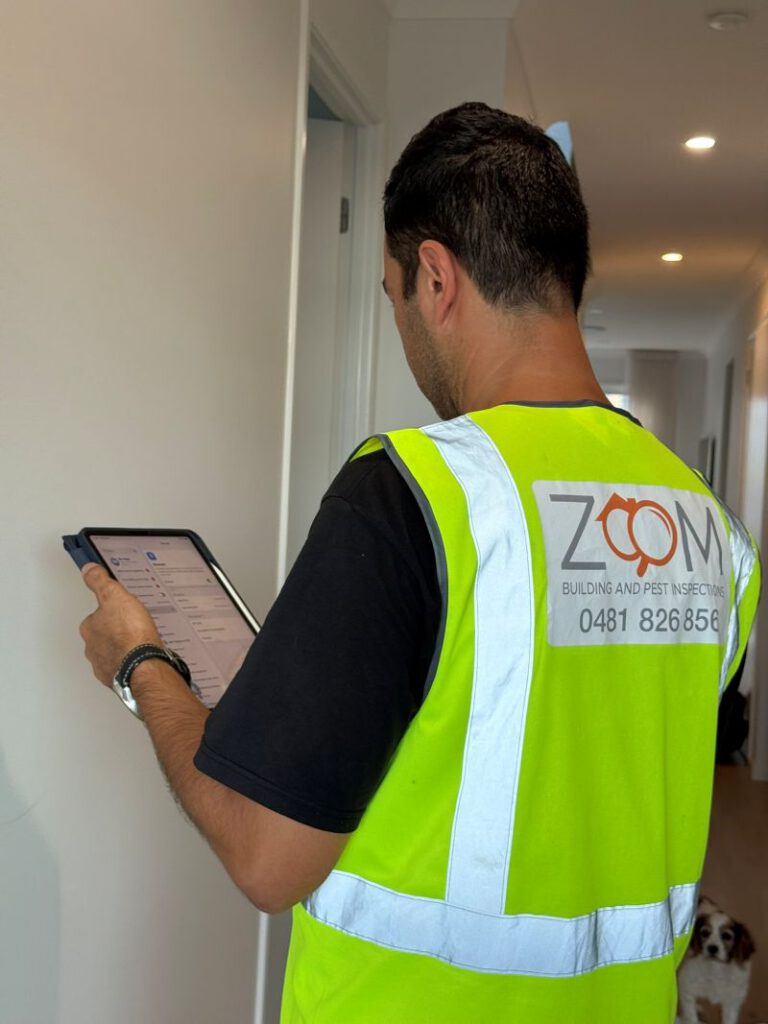 Building and Pest Inspection Comparisons in Brisbane